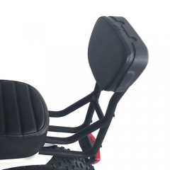 Left View of the Backrest For EB 2.0 Ver M-66 R7