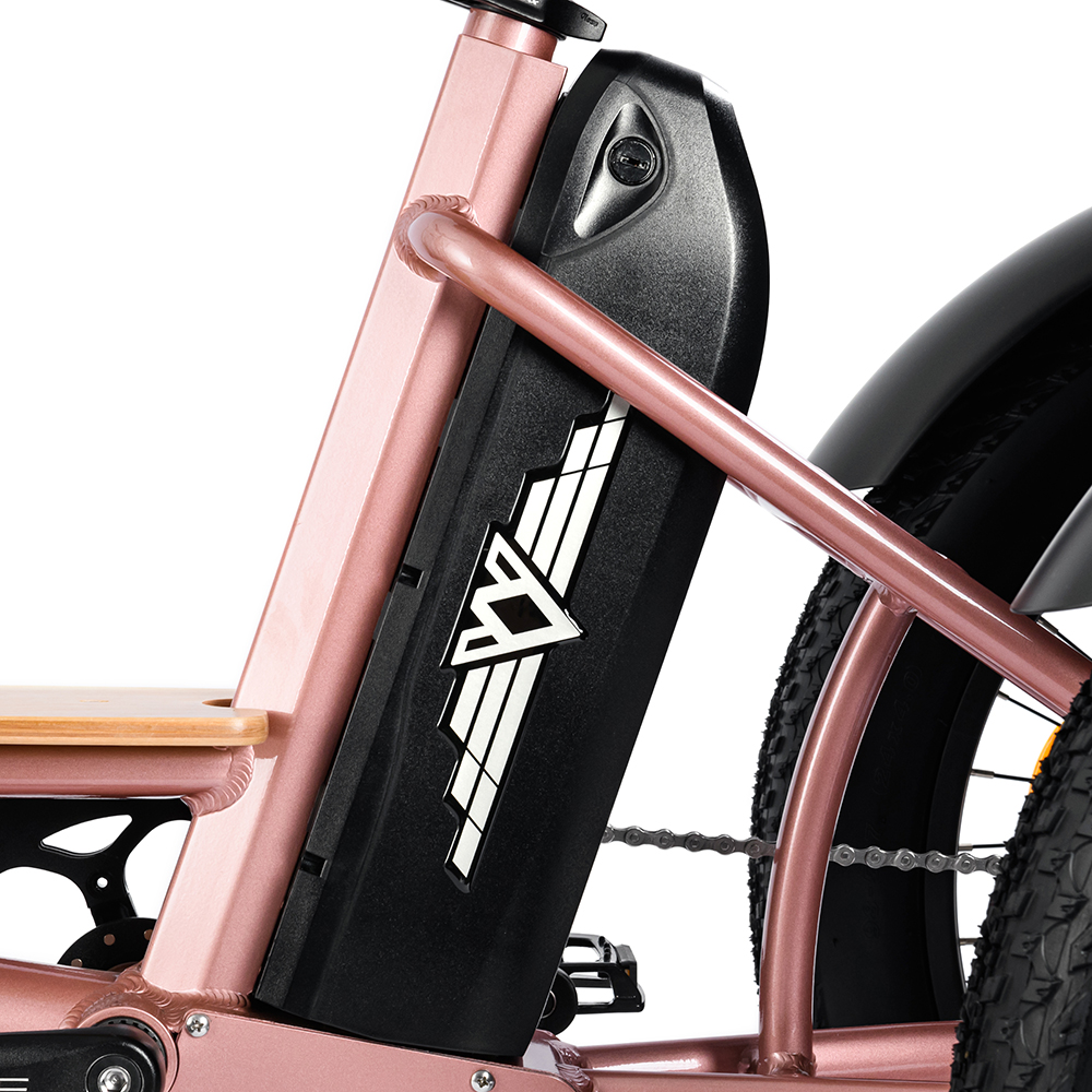 battery for electric trike