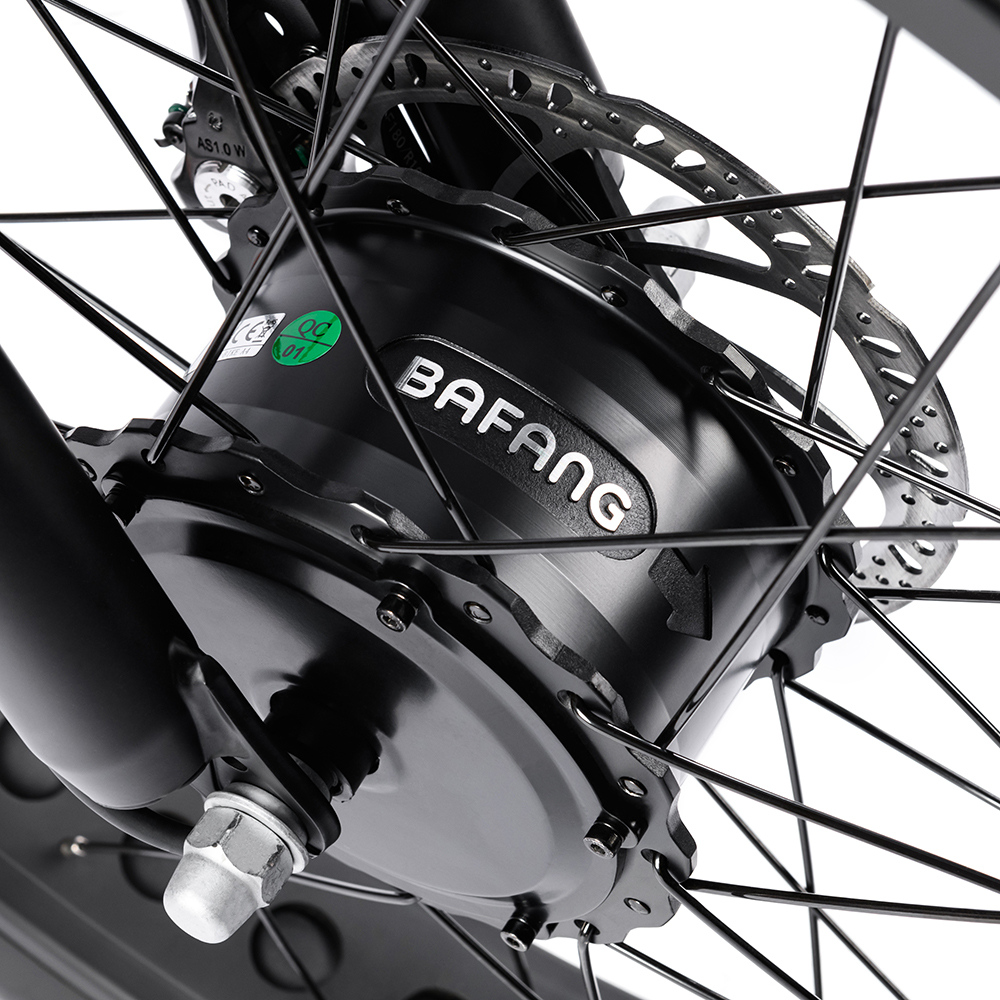 bafang motor for electric trike