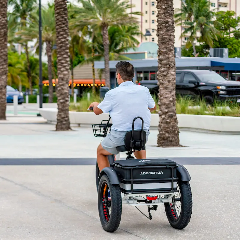 9 Signs That Your Parents Need An Electric Tricycle