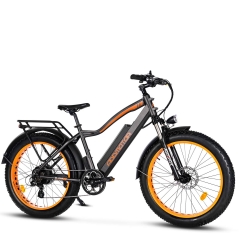 Addmotor M-550 All Terrain Fat Tire Electric Bike grey