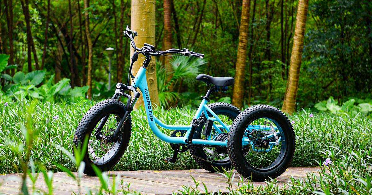 fat tire electric trike for adults