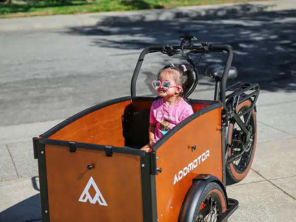 reverse tricycle with cargo box